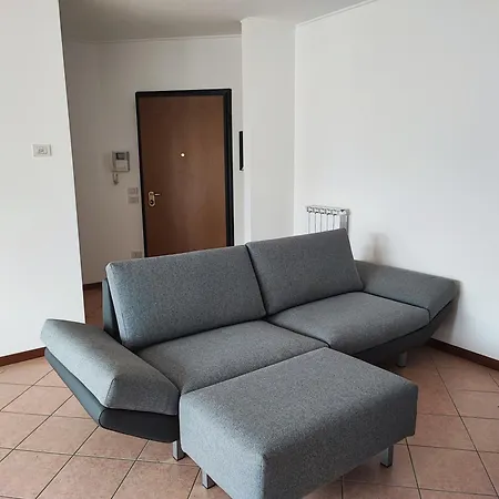 Il Fenicottero